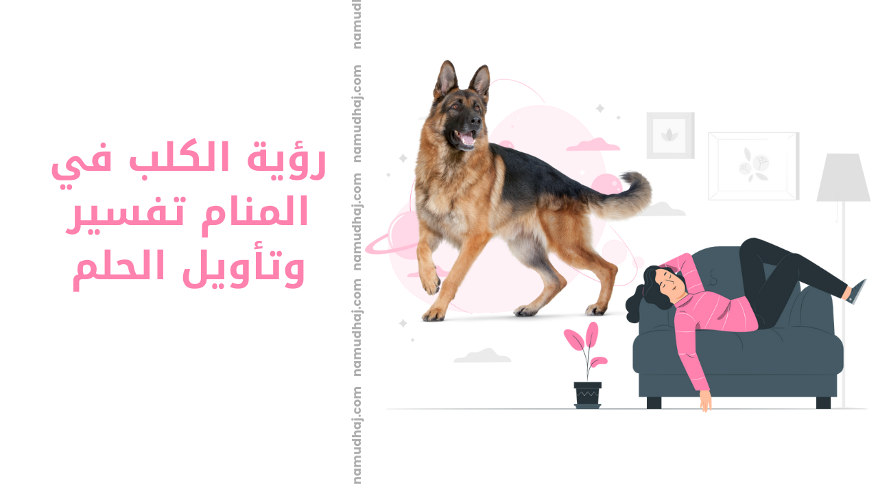 رؤية الكلب في المنام تفسير وتأويل الحلم