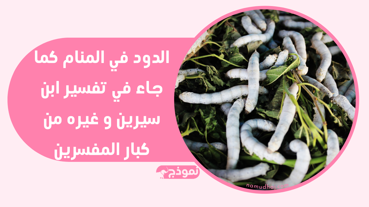 الدود أو الديدان في الحلم