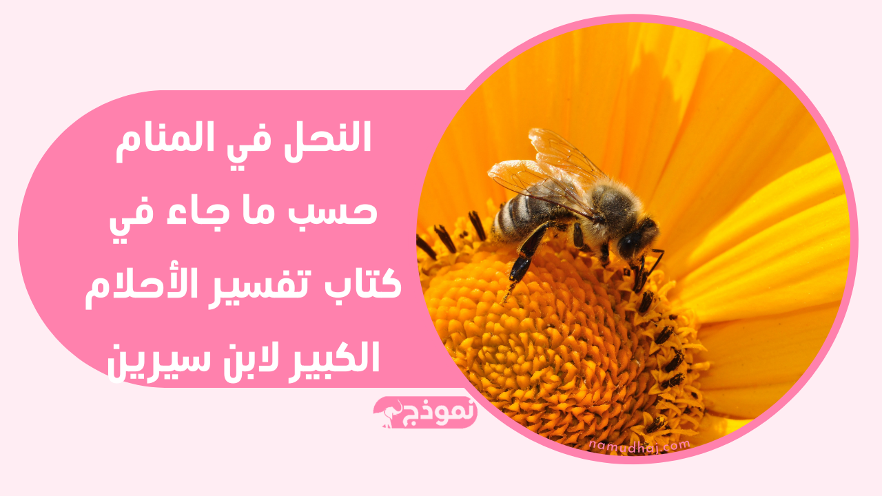 النحل في المنام حسب ما جاء في كتاب تفسير الأحلام الكبير لابن سيرين