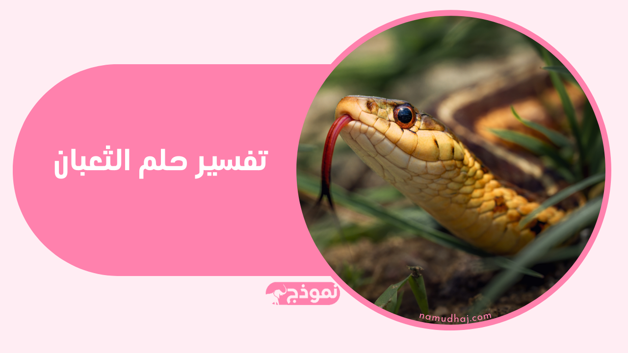 تفسير حلم الثعبان