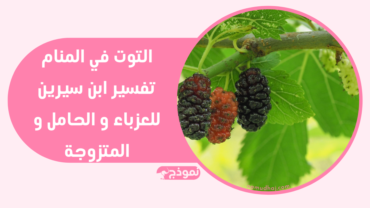 التوت في المنام تفسير ابن سيرين للعزباء و الحامل و المتزوجة