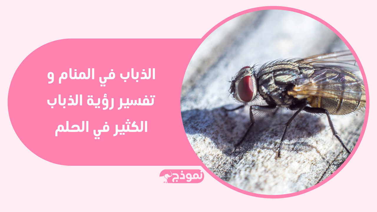 الذباب في المنام و تفسير رؤية الذباب الكثير في الحلم