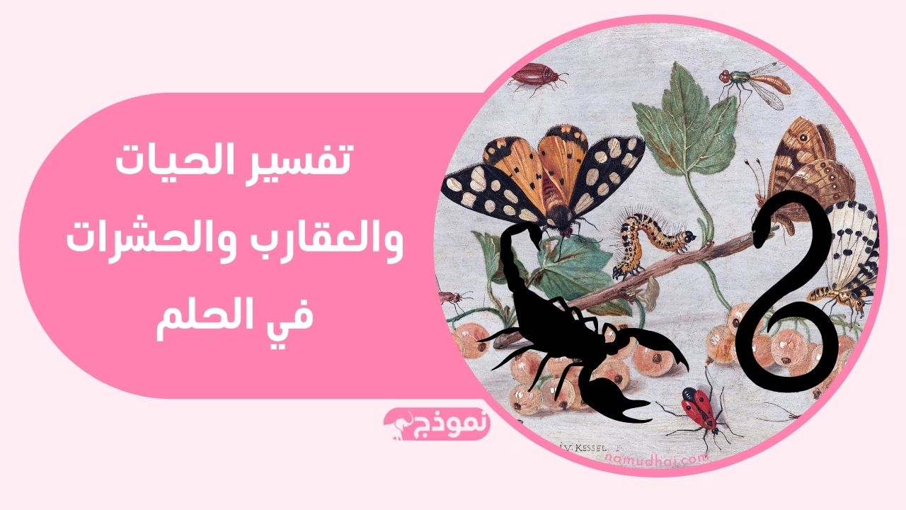 الحيات والعقارب وكثيرا ما تظهر الحشرات في المنام مثل الذباب والنمل والخنفساء والبق