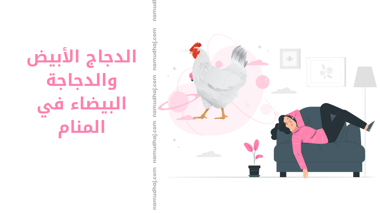 الدجاج الأبيض والدجاجة البيضاء في المنام