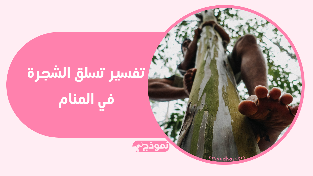 تفسير تسلق الشجرة في المنام