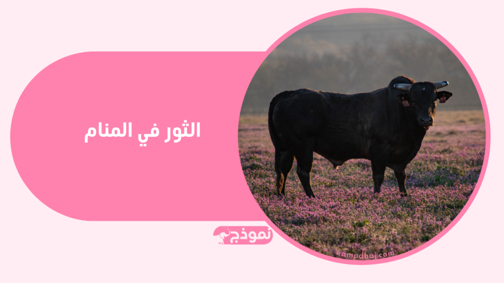 الثور في المنام وتفسير ابن سيرين لرؤية الثور في الحلم
