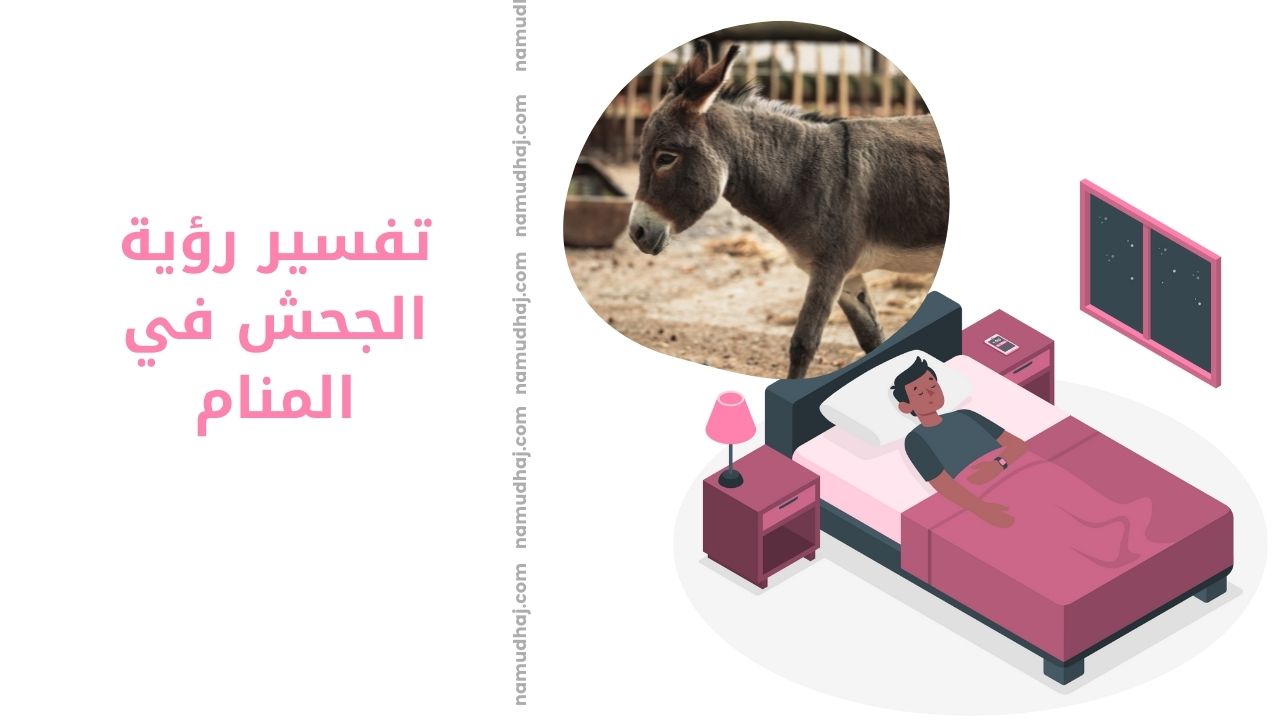 تفسير رؤية الجحش في المنام