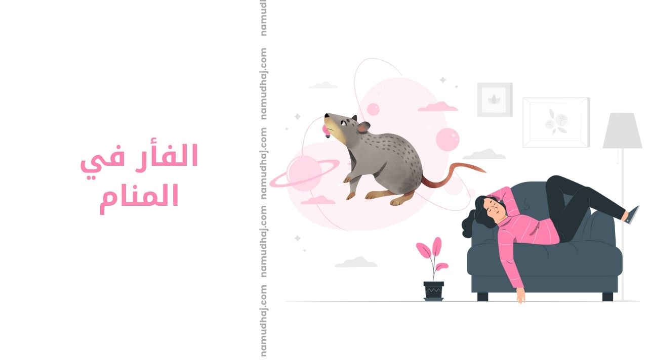 تفسير دلالة ومعنى الفأر في المنام