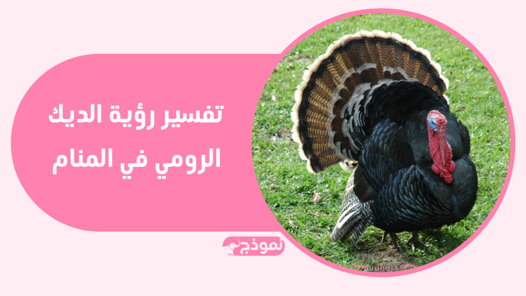 الديك الرومي في المنام