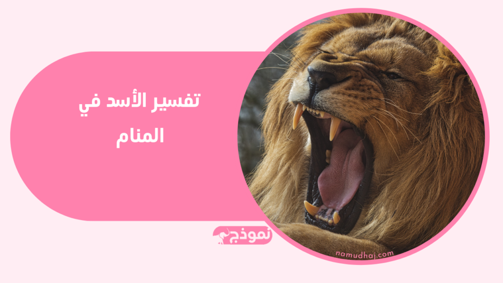 معنى الأسد واللبوة في منام المرأة المتزوجة والحامل والمطلقة والعزباء