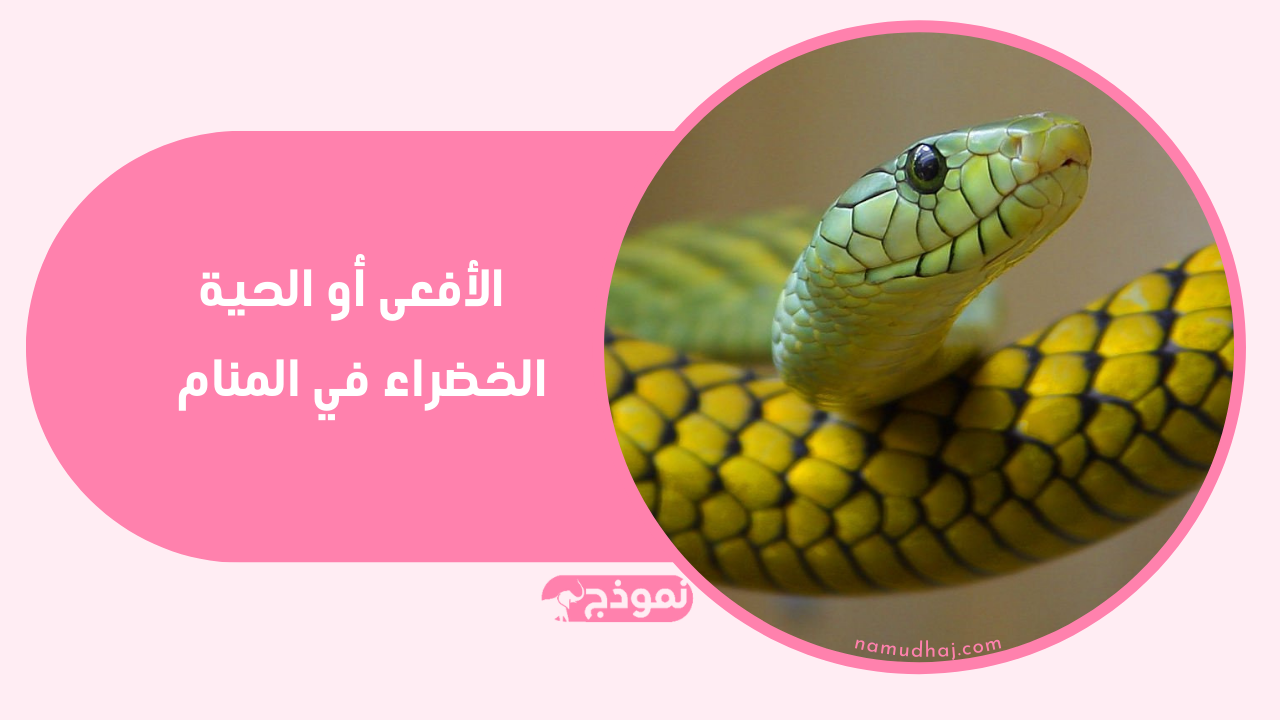 تفسير الأفعى أو الحية الخضراء في المنام لابن سيرين