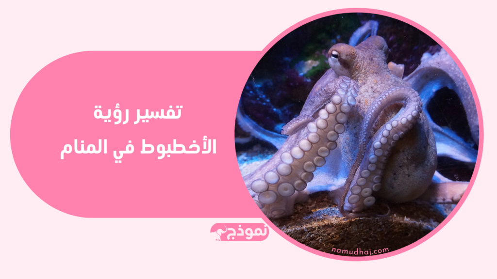 الأخطبوط في المنام و تفسير أكل و صيد الأخطبوط في الحلم