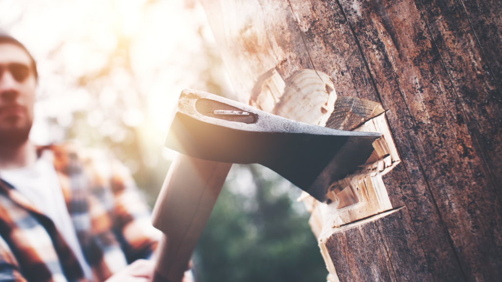 قطع الشجرة كما يمكن أن تضهر في المنام