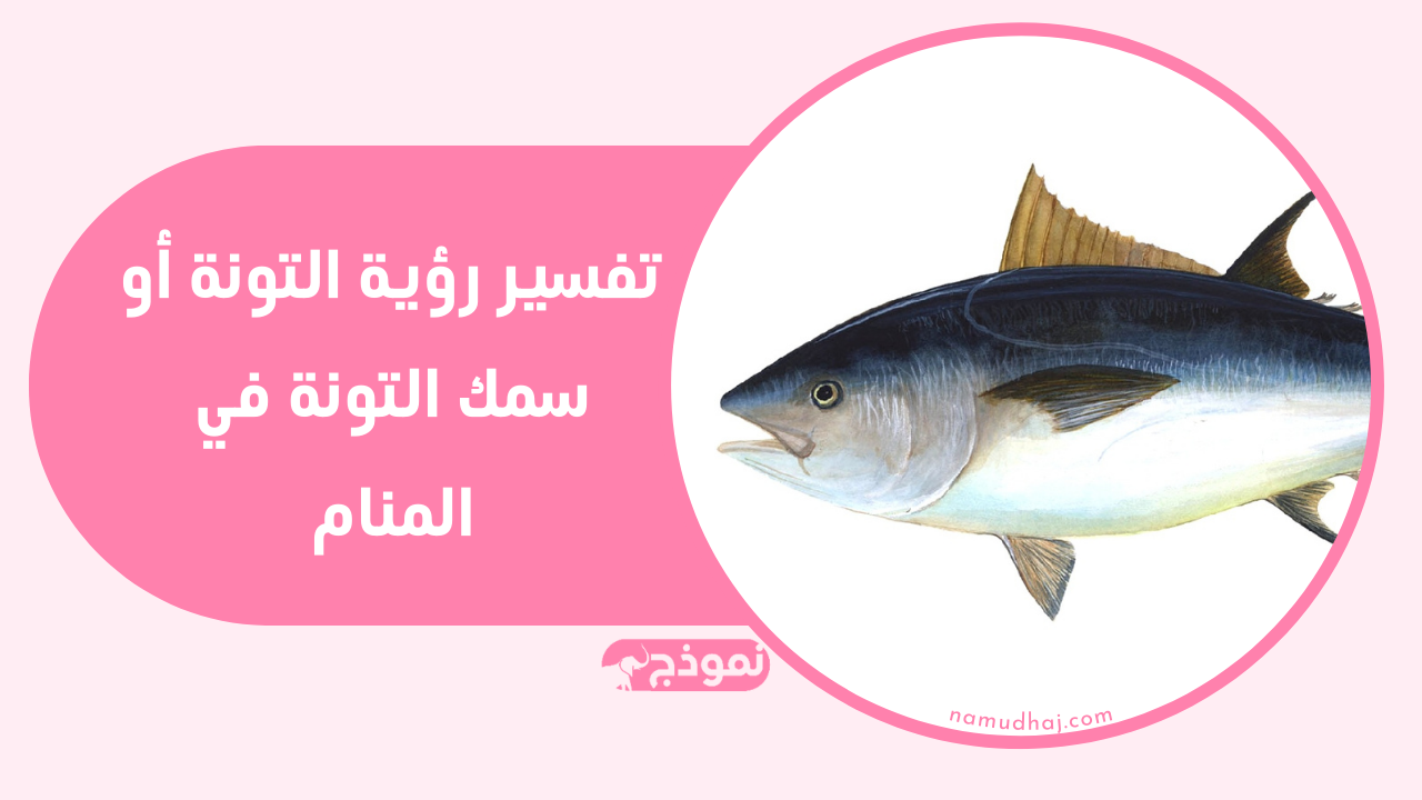 تفسير رؤية التونة أو سمك التونة في المنام