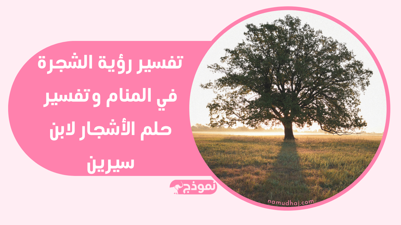 الأشجار في المنام