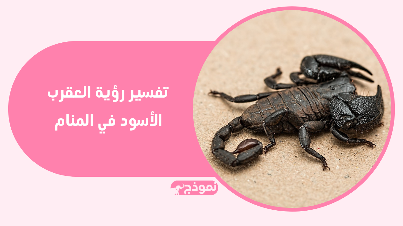 تفسير رؤية العقرب الأسود في المنام