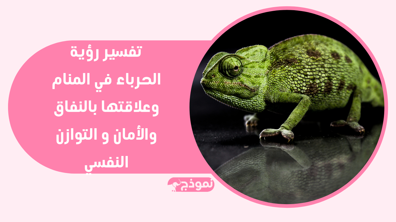 تفسير رؤية الحرباء في المنام